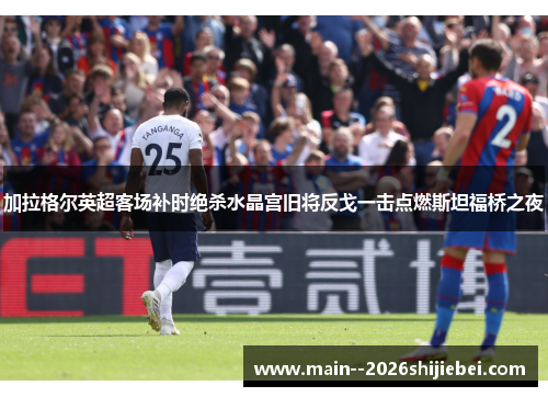 加拉格尔英超客场补时绝杀水晶宫旧将反戈一击点燃斯坦福桥之夜 加拉格尔英超客场补时绝杀水晶宫旧将反戈一击点燃斯坦福桥之夜