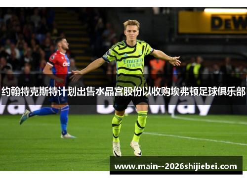 约翰特克斯特计划出售水晶宫股份以收购埃弗顿足球俱乐部 约翰特克斯特计划出售水晶宫股份以收购埃弗顿足球俱乐部